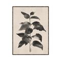 Picture of Black Linen Leaves II _GroupedProduct_Rectangle_Portrait_Canvas_Framed_