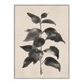 Picture of Black Linen Leaves II _GroupedProduct_Rectangle_Portrait_Canvas_Framed_