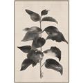 Picture of Black Linen Leaves II _GroupedProduct_Rectangle_Portrait_Canvas_Framed_