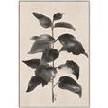 Picture of Black Linen Leaves II _GroupedProduct_Rectangle_Portrait_Canvas_Framed_