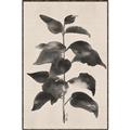 Picture of Black Linen Leaves II _GroupedProduct_Rectangle_Portrait_Canvas_Framed_