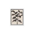 Picture of Black Linen Leaves IV _GroupedProduct_Rectangle_Portrait_Canvas_Framed_