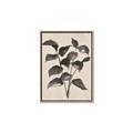 Picture of Black Linen Leaves IV _GroupedProduct_Rectangle_Portrait_Canvas_Framed_