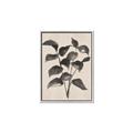 Picture of Black Linen Leaves IV _GroupedProduct_Rectangle_Portrait_Canvas_Framed_