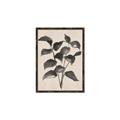 Picture of Black Linen Leaves IV _GroupedProduct_Rectangle_Portrait_Canvas_Framed_
