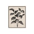 Picture of Black Linen Leaves IV _GroupedProduct_Rectangle_Portrait_Canvas_Framed_