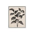 Picture of Black Linen Leaves IV _GroupedProduct_Rectangle_Portrait_Canvas_Framed_