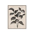 Picture of Black Linen Leaves IV _GroupedProduct_Rectangle_Portrait_Canvas_Framed_