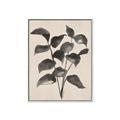 Picture of Black Linen Leaves IV _GroupedProduct_Rectangle_Portrait_Canvas_Framed_