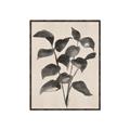 Picture of Black Linen Leaves IV _GroupedProduct_Rectangle_Portrait_Canvas_Framed_