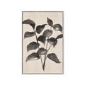 Picture of Black Linen Leaves IV _GroupedProduct_Rectangle_Portrait_Canvas_Framed_