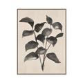 Picture of Black Linen Leaves IV _GroupedProduct_Rectangle_Portrait_Canvas_Framed_