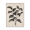 Picture of Black Linen Leaves IV _GroupedProduct_Rectangle_Portrait_Canvas_Framed_