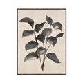 Picture of Black Linen Leaves IV _GroupedProduct_Rectangle_Portrait_Canvas_Framed_
