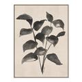 Picture of Black Linen Leaves IV _GroupedProduct_Rectangle_Portrait_Canvas_Framed_