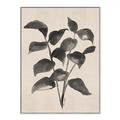 Picture of Black Linen Leaves IV _GroupedProduct_Rectangle_Portrait_Canvas_Framed_