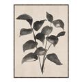 Picture of Black Linen Leaves IV _GroupedProduct_Rectangle_Portrait_Canvas_Framed_