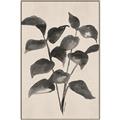 Picture of Black Linen Leaves IV _GroupedProduct_Rectangle_Portrait_Canvas_Framed_