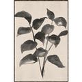 Picture of Black Linen Leaves IV _GroupedProduct_Rectangle_Portrait_Canvas_Framed_
