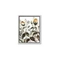 Picture of Rusty Flower II _GroupedProduct_Rectangle_Portrait_Canvas_Framed_