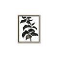 Picture of Black Leaves II _GroupedProduct_Rectangle_Portrait_Canvas_Framed_