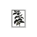 Picture of Black Leaves II _GroupedProduct_Rectangle_Portrait_Canvas_Framed_