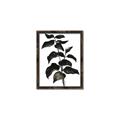 Picture of Black Leaves II _GroupedProduct_Rectangle_Portrait_Canvas_Framed_
