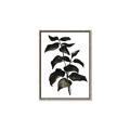 Picture of Black Leaves II _GroupedProduct_Rectangle_Portrait_Canvas_Framed_