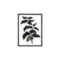 Picture of Black Leaves II _GroupedProduct_Rectangle_Portrait_Canvas_Framed_