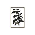 Picture of Black Leaves II _GroupedProduct_Rectangle_Portrait_Canvas_Framed_