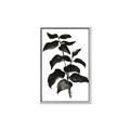 Picture of Black Leaves II _GroupedProduct_Rectangle_Portrait_Canvas_Framed_