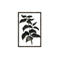 Picture of Black Leaves II _GroupedProduct_Rectangle_Portrait_Canvas_Framed_