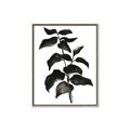 Picture of Black Leaves II _GroupedProduct_Rectangle_Portrait_Canvas_Framed_