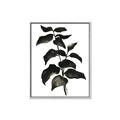 Picture of Black Leaves II _GroupedProduct_Rectangle_Portrait_Canvas_Framed_