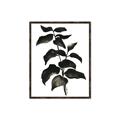 Picture of Black Leaves II _GroupedProduct_Rectangle_Portrait_Canvas_Framed_