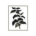 Picture of Black Leaves II _GroupedProduct_Rectangle_Portrait_Canvas_Framed_