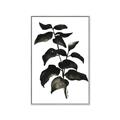 Picture of Black Leaves II _GroupedProduct_Rectangle_Portrait_Canvas_Framed_