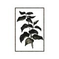 Picture of Black Leaves II _GroupedProduct_Rectangle_Portrait_Canvas_Framed_