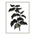 Picture of Black Leaves II _GroupedProduct_Rectangle_Portrait_Canvas_Framed_