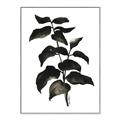 Picture of Black Leaves II _GroupedProduct_Rectangle_Portrait_Canvas_Framed_