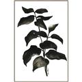 Picture of Black Leaves II _GroupedProduct_Rectangle_Portrait_Canvas_Framed_