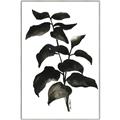 Picture of Black Leaves II _GroupedProduct_Rectangle_Portrait_Canvas_Framed_