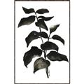 Picture of Black Leaves II _GroupedProduct_Rectangle_Portrait_Canvas_Framed_