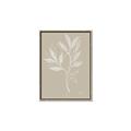 Picture of Neutral Plant VIII _GroupedProduct_Rectangle_Portrait_Canvas_Framed_