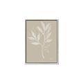 Picture of Neutral Plant VIII _GroupedProduct_Rectangle_Portrait_Canvas_Framed_