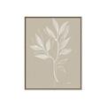 Picture of Neutral Plant VIII _GroupedProduct_Rectangle_Portrait_Canvas_Framed_