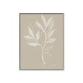 Picture of Neutral Plant VIII _GroupedProduct_Rectangle_Portrait_Canvas_Framed_