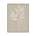 Picture of Neutral Plant VIII _GroupedProduct_Rectangle_Portrait_Canvas_Framed_