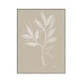 Picture of Neutral Plant VIII _GroupedProduct_Rectangle_Portrait_Canvas_Framed_