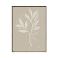 Picture of Neutral Plant VIII _GroupedProduct_Rectangle_Portrait_Canvas_Framed_